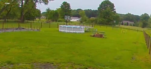 Intex 26701EH Prism Frame 10ft (3.05m) x 30in (76cm) Above Ground Pool Set – 1,185 Gallon (4,486L) Capacity with Filter Pump – Rust & Puncture Resistant, Quick Setup photo review