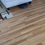 iMartine BR151 Robot Vacuum and Mop Combo – 2-in-1 Slim Robotic Cleaner with 2300Pa Suction, App/Voice/Remote Control, Self-Charging, Quiet Operation for Pet Hair, Hard Floors & Low Pile Carpet photo review