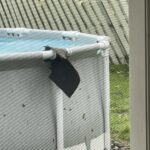 Intex 26701EH Prism Frame 10ft (3.05m) x 30in (76cm) Above Ground Pool Set – 1,185 Gallon (4,486L) Capacity with Filter Pump – Rust & Puncture Resistant, Quick Setup photo review