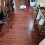 Dreame L10s Ultra Gen 2 Robot Vacuum and Mop – 10,000Pa Suction, Smart MopExtend, AI Pathfinding, Auto-Cleaning & Drying, Self-Empty Base, Pet & Carpet Optimized photo review