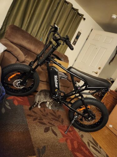 Ridstar Q20 20″ Fat-Tyre Electric Dirt Bike – Peak 1500 W motor, 48 V 15.6 Ah battery (30-75 mi range), 30 mph top-speed photo review