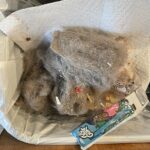 Shark AI Ultra Robot Vacuum – Self-Emptying, Smart Mapping, Matrix Clean, 60-Day XL Base, Pet Hair Pickup, Voice/App Control, LiDAR Navigation for Carpet & Hard Floors photo review